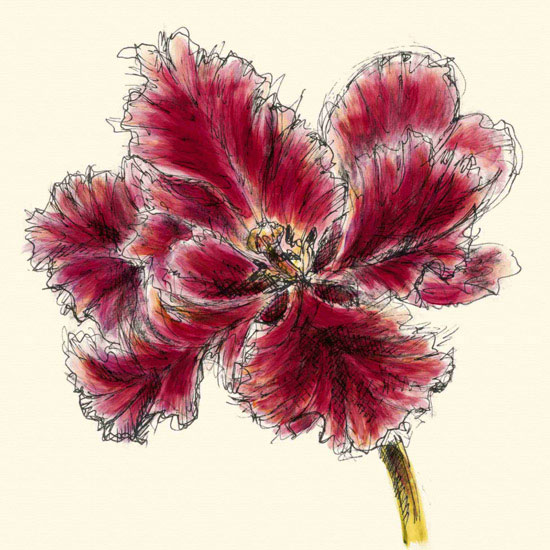 Compatible Floral Jahrriesnge  for flowers lpf09982 