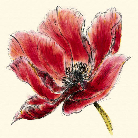 Compatible Floral Jahrriesnge  for flowers lpf09983 