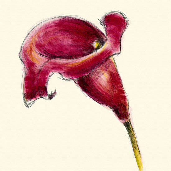 Compatible Floral Jahrriesnge  for flowers lpf09985 