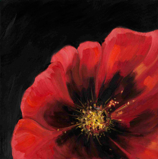 Compatible Floral Jahrriesnge  for flowers lpf09989 