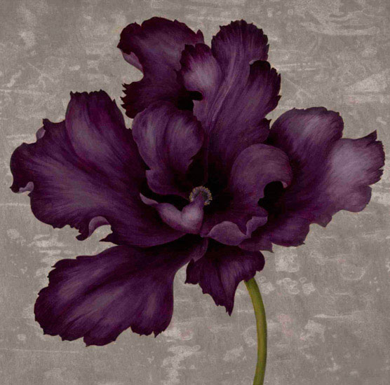 Compatible Floral Jahrriesnge  for flowers lpf09995 