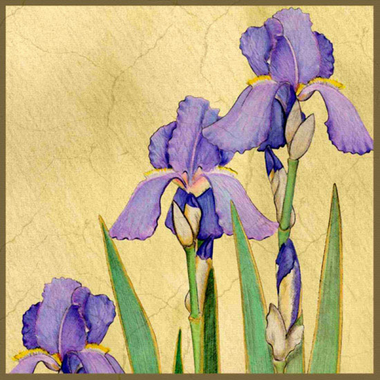 Compatible Floral Jahrriesnge  for flowers lpf10045 