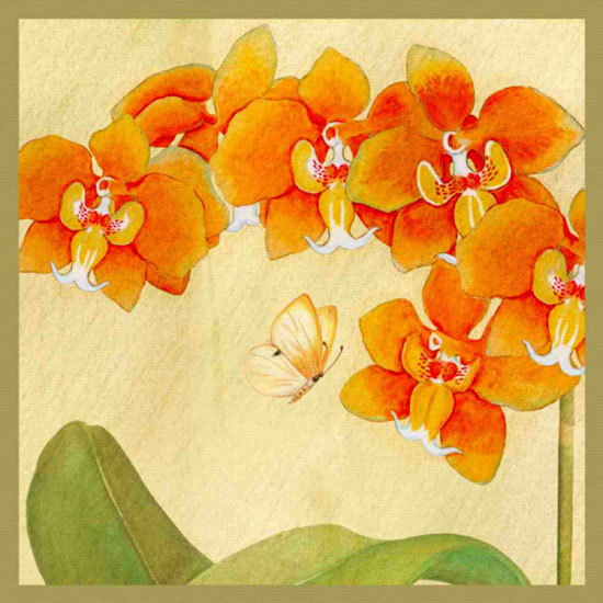 Compatible Floral Jahrriesnge  for flowers lpf10046 