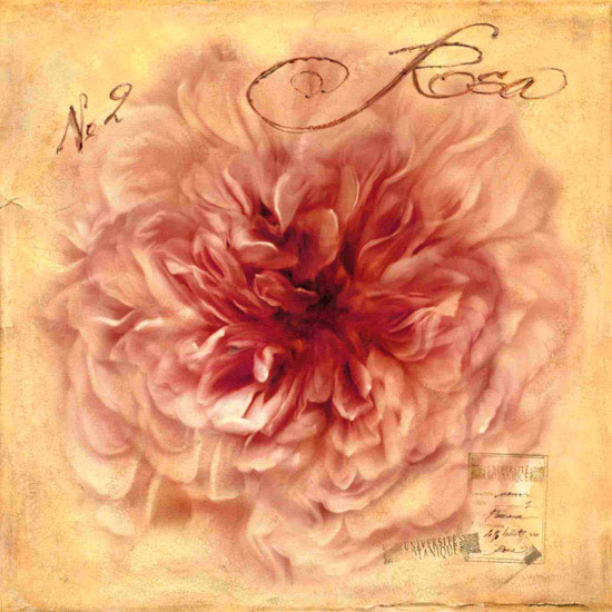 Compatible Floral Jahrriesnge  for flowers lpf10125 