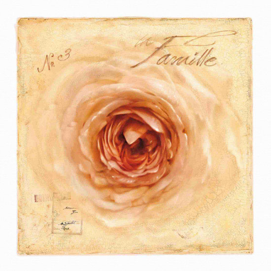 Compatible Floral Jahrriesnge  for flowers lpf10126 