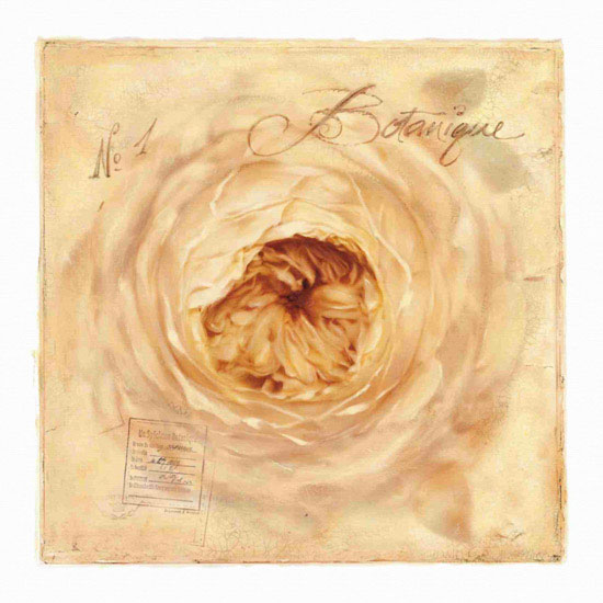 Compatible Floral Jahrriesnge  for flowers lpf10128 