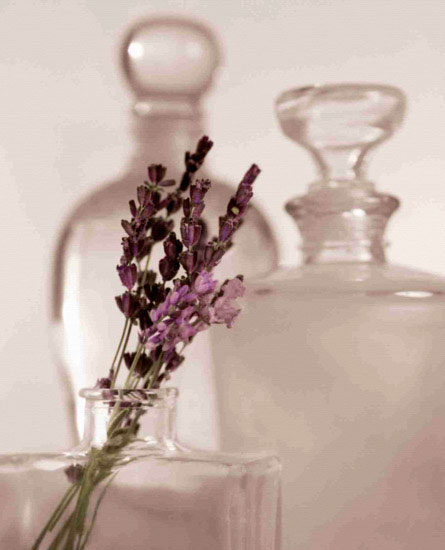 Compatible Floral Jahrriesnge  for flowers lpf10207 