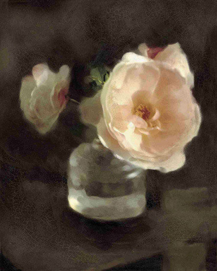 Compatible Floral Jahrriesnge  for flowers lpf10239 