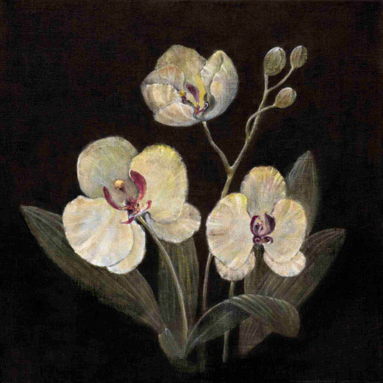 Compatible Floral Jahrriesnge  for flowers lpf10240 