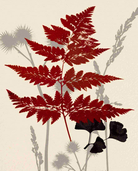 Compatible Floral Jahrriesnge  for leaves lpf10283 