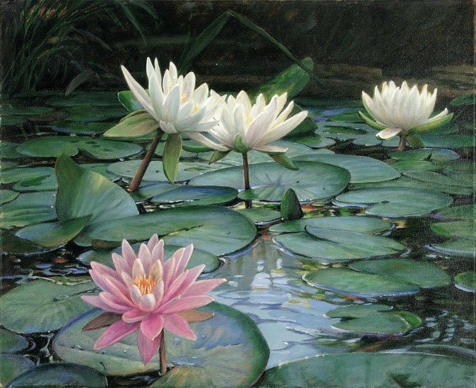 Compatible Nature morte Jahrriesnge  for flowers lpf13247 