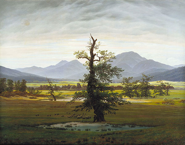 Compatible Paysage Jahrriesnge  for tree lpg2345 