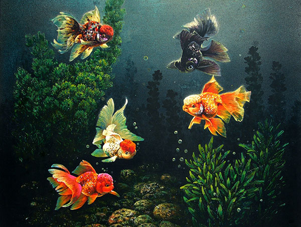 Compatible Paysage Jahrriesnge  for fish lpg2381 