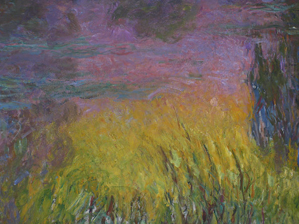 Compatible Paysage Jahrriesnge  for untitle lpg2402 