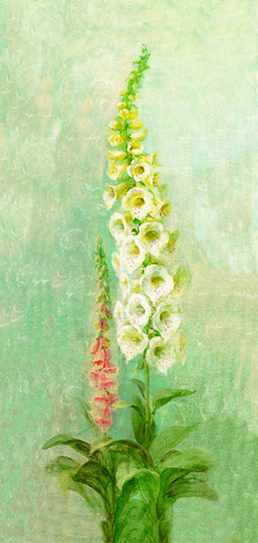 Compatible Nature morte Jahrriesnge  for flowers lpg2532 